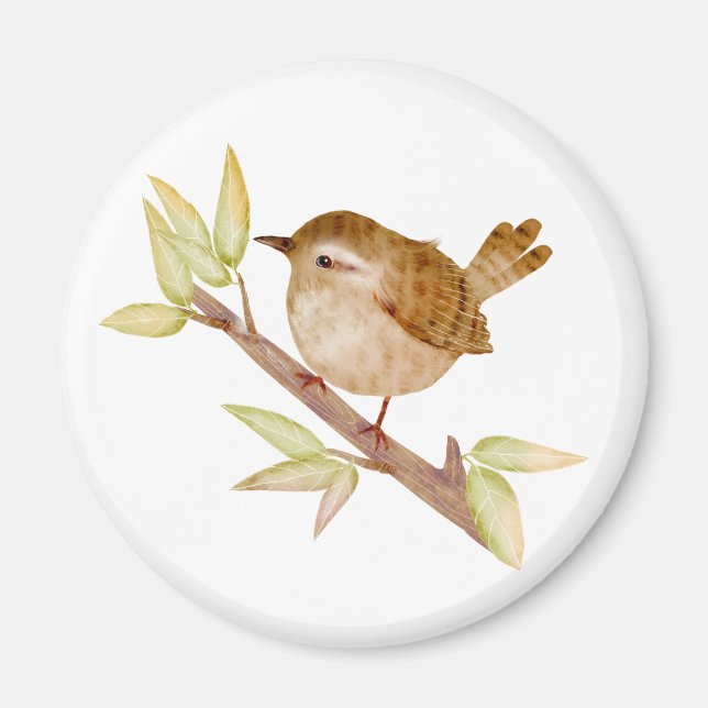 Wren Bird Magnets (Front)