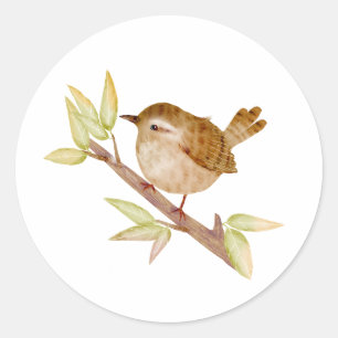 Wren Bird Stickers