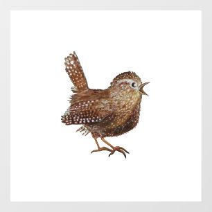 Wren Bird (Troglodytes Troglodytes) 