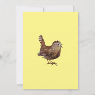Wren Bird (Troglodytes Troglodytes)  Invitation