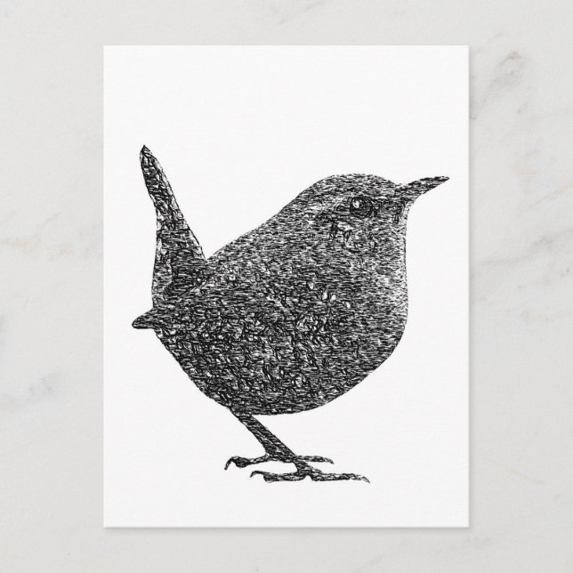 Wren (Black and White) Postcard (Front)