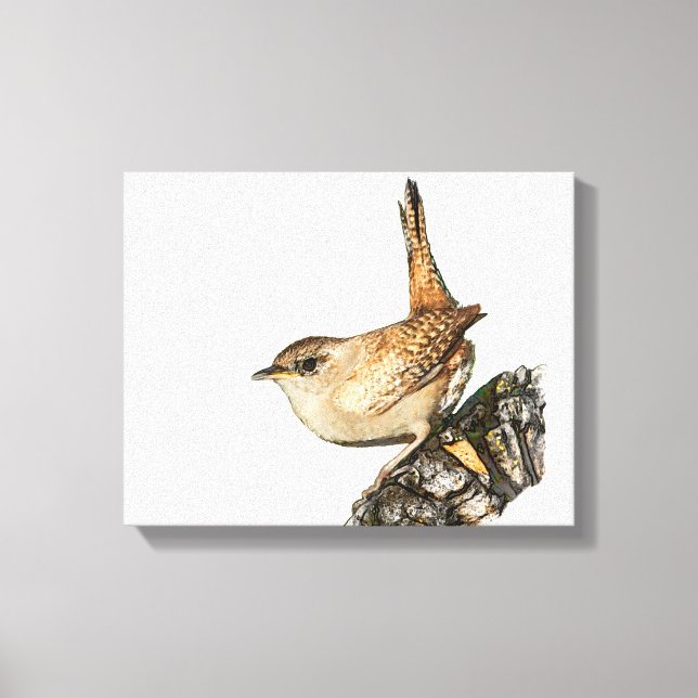 Wren Canvas Print (Front)