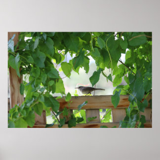 Wren In Arbor Poster