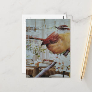 Wren in the Living Room Surreal Collage Postcard