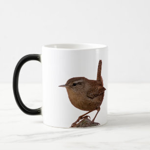 Wren Magic Mug