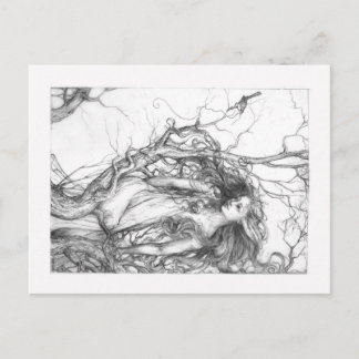 Wren Postcard