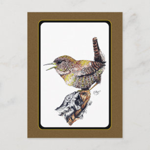 Wren Postcard in Ink