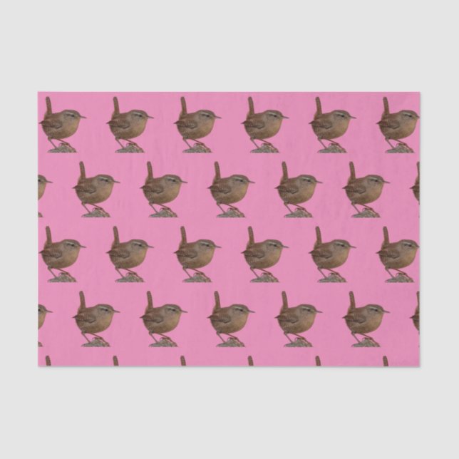 Wren Tissue Paper (Front)