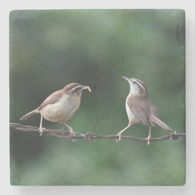 Wrens Coaster (Front)