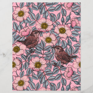 Wrens in the roses