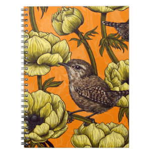 Wrens in the yellow anemone garden notebook