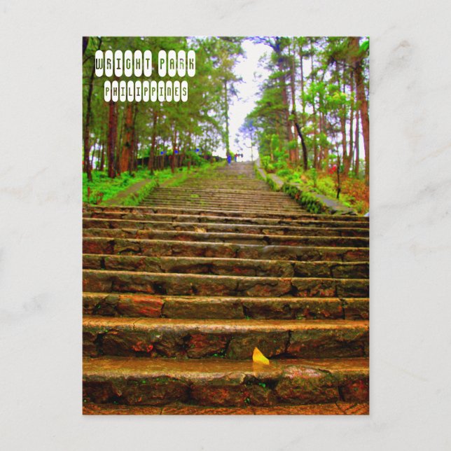 Wright Park of Baguio Postcard (Front)
