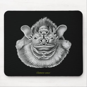 Wrinkle-faced Bat Mouse Pad