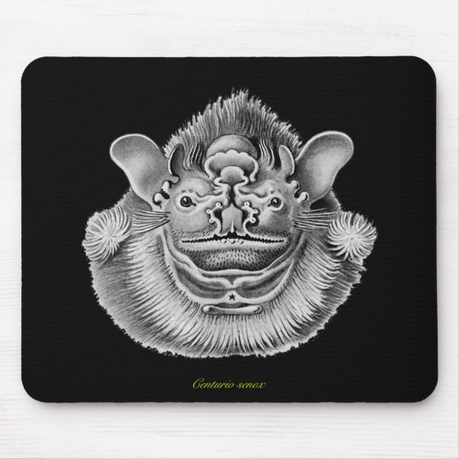 Wrinkle-faced Bat Mouse Pad (Front)