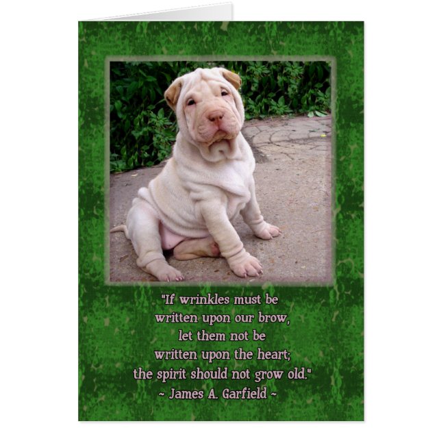 Wrinkled Brow (Front)