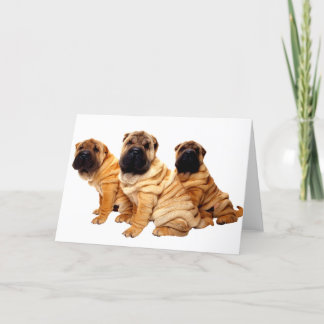 Wrinkles Are Beautiful Greeting Card