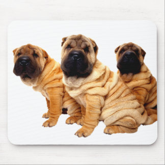 Wrinkles Are Beautiful Mousepad