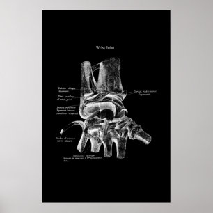 Wrist Anatomy Medical Poster Orthopaedic Decor