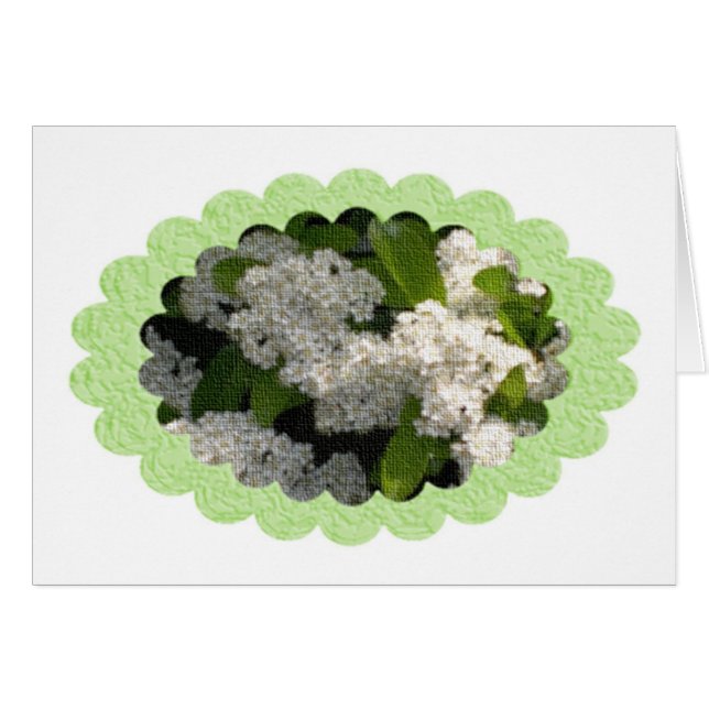 write a personal note (Front Horizontal)