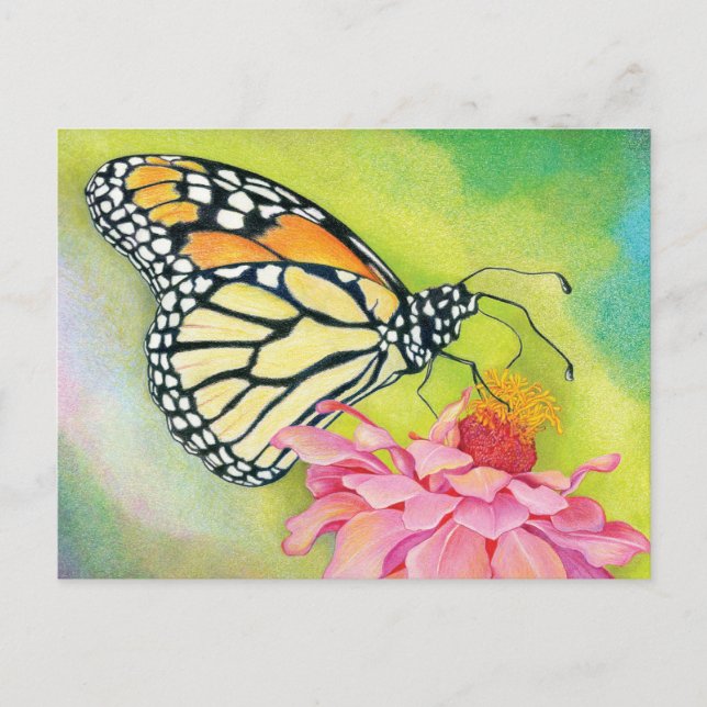 Write postcards to Democrats -Butterfly Brigade (Front)