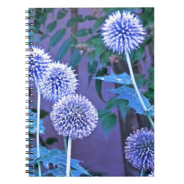 writing journal (Front)