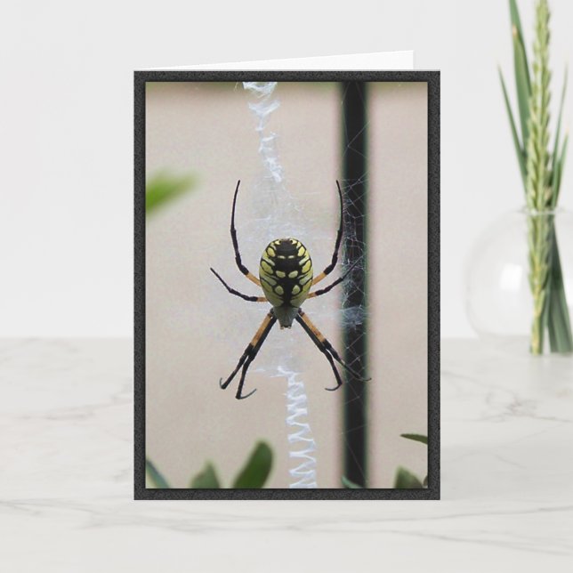 Writing Spider Card (Front)