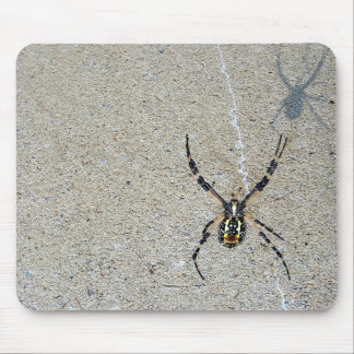 Writing Spider Sees It's Shadow Mousepad