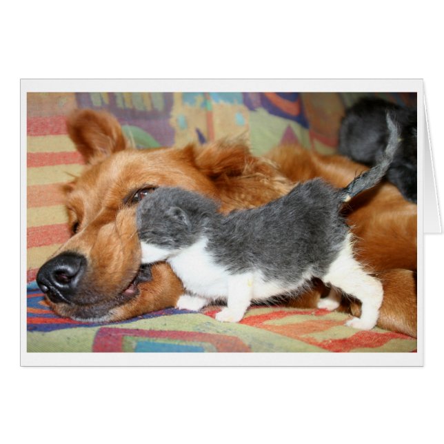 Wrong way? (Front Horizontal)