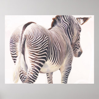 "Wrong Way" Zebra Wildlife Watercolor Poster
