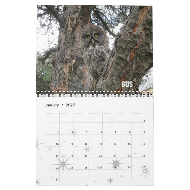 WSU Raptor Club 2012 Calendar (Jan 2027)