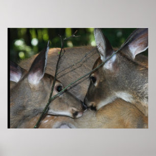 WT Deer Embrace Poster
