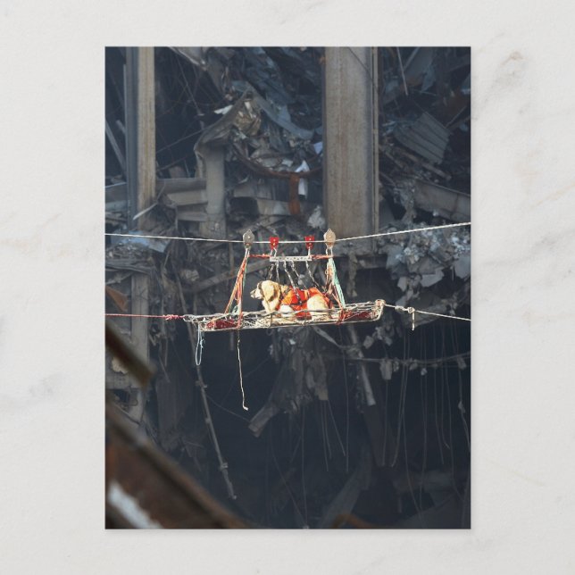 WTC6 POSTCARD (Front)