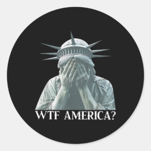 Wtf America 8647 Resist Trump Political And Democr Classic Round Sticker