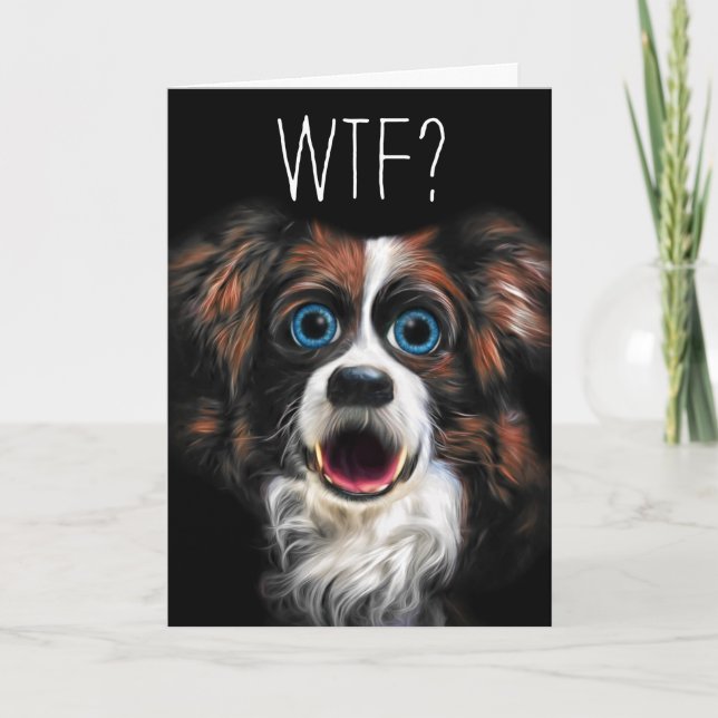 WTF? Belated Birthday with Funny Border Collie Dog Card (Front)