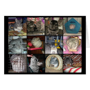 Wunderchins 2012 card