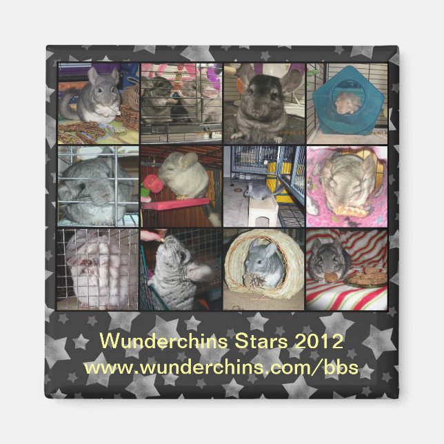 Wunderchins 2012 magnet (Front)