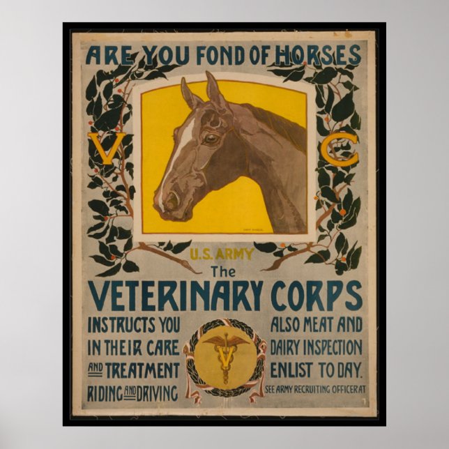 WW1 VINTAGE Vet. Corps POSTER (Front)