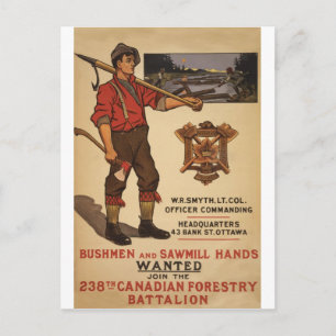 WW I ~ 238th Canadian Forestry Battalion 1915 Postcard
