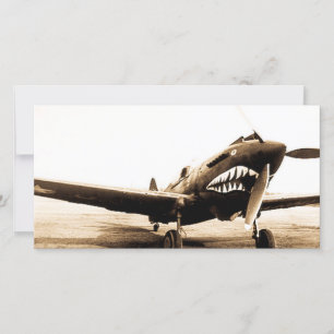 WWII Flying Tigers Curtiss P-40 Fighter Plane