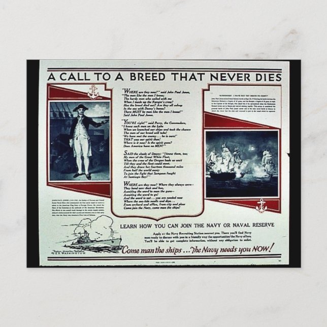 Wwii Navy Recruit2 Postcard (Front)