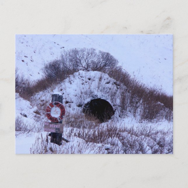 WWII Quonset Hut in Winter, Unalaska Island Postcard (Front)