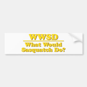 WWSD? BUMPER STICKER