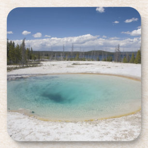WY, Yellowstone National Park, West Thumb Geyser Coaster