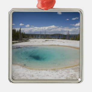 WY, Yellowstone National Park, West Thumb Geyser Metal Tree Decoration