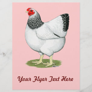 Wyandotte:  Columbian Hen