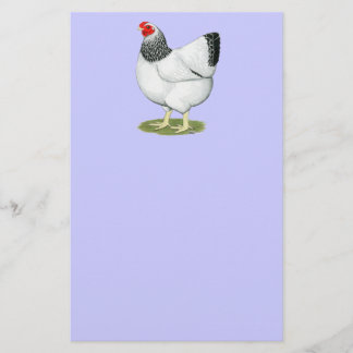 Wyandotte:  Columbian Hen Stationery