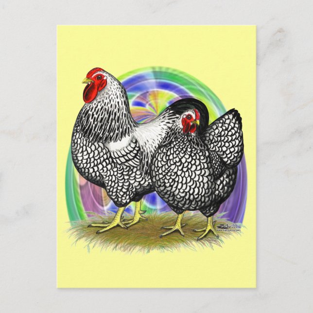 Wyandotte:  Easter Egg Pair Holiday Postcard (Front)