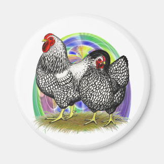 Wyandotte:  Easter Egg Pair Magnet