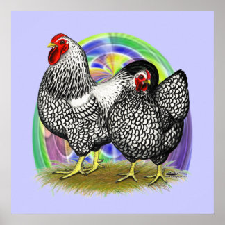 Wyandotte: Easter Egg Pair Poster