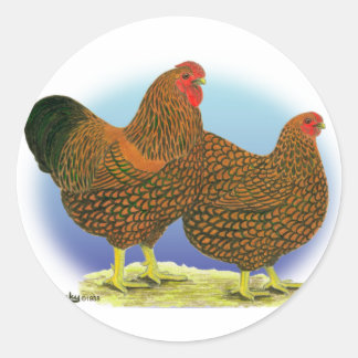 Wyandotte: Golden-laced Pair Classic Round Sticker